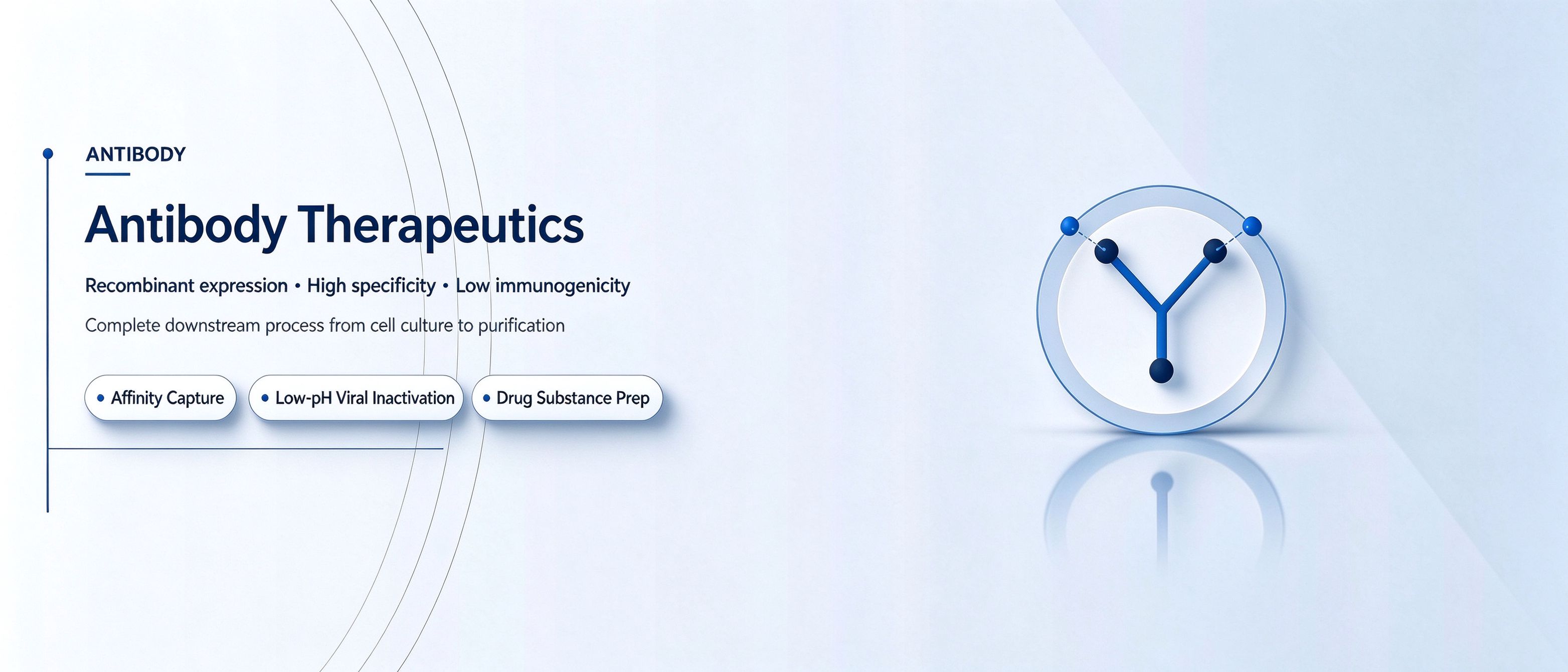 Monoclonal Antibody Production