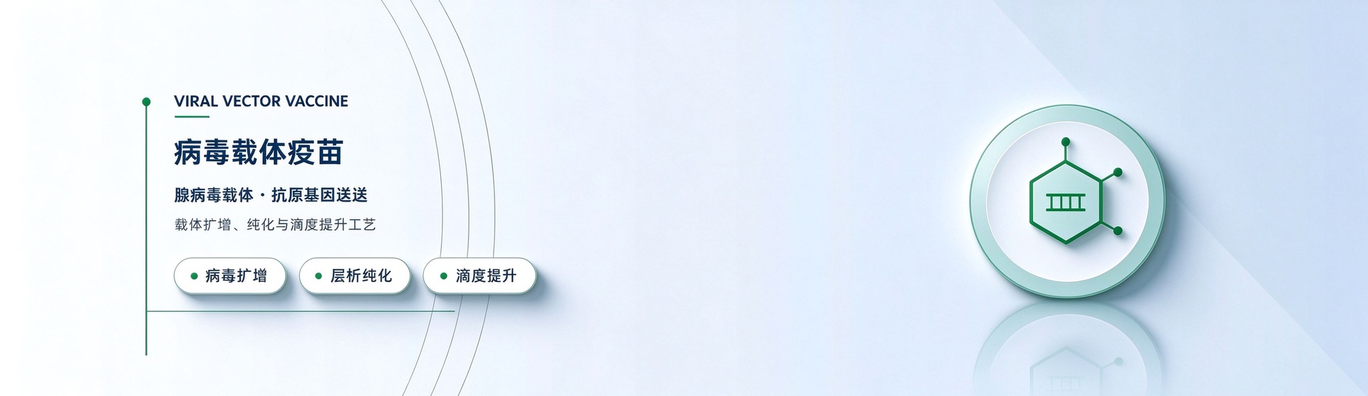 病毒载体疫苗