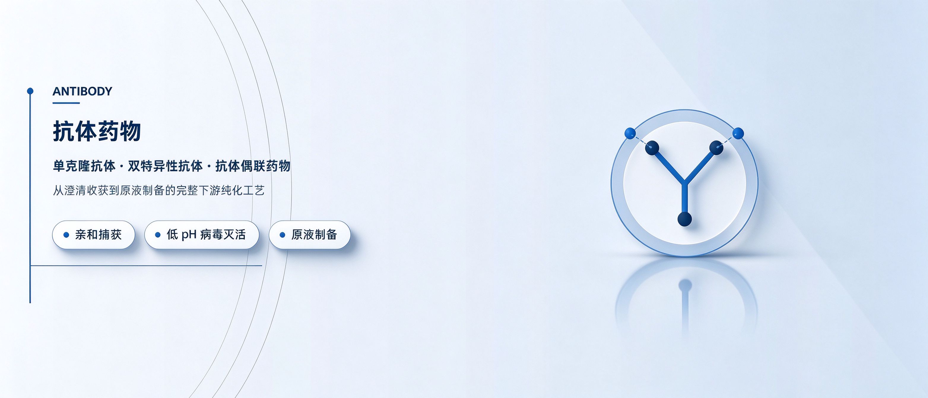 抗体药物（含ADC）