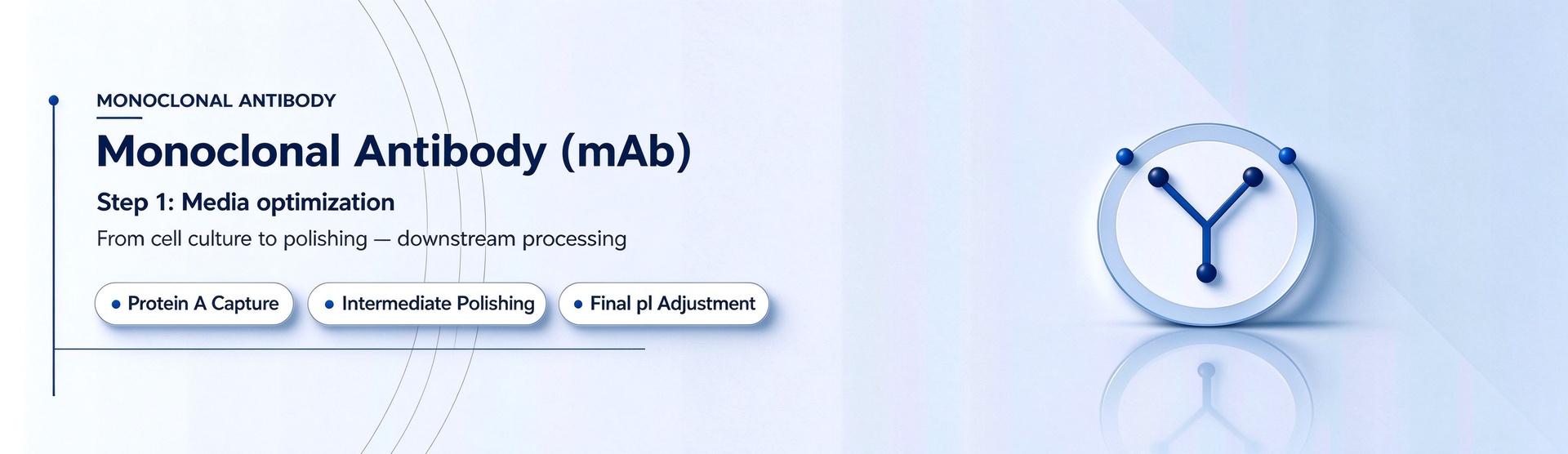 Monoclonal Antibody（mAb）