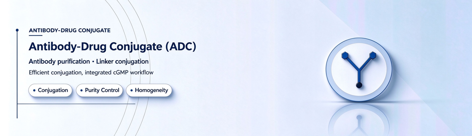 Antibody-Drug Conjugates（ADC)