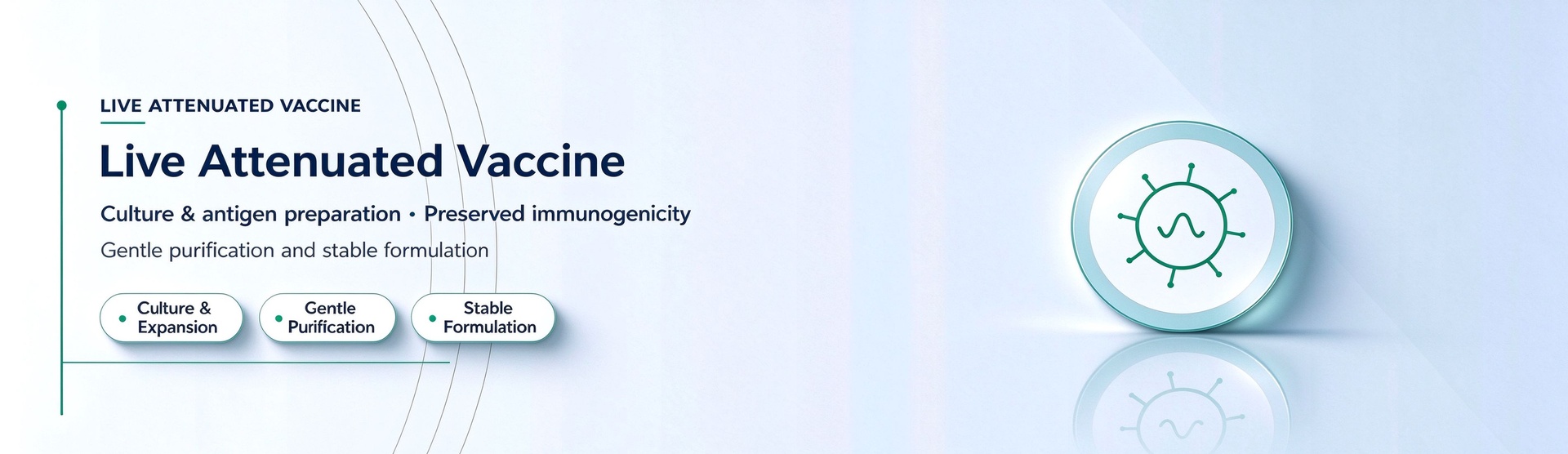 Live Attenuated Vaccines