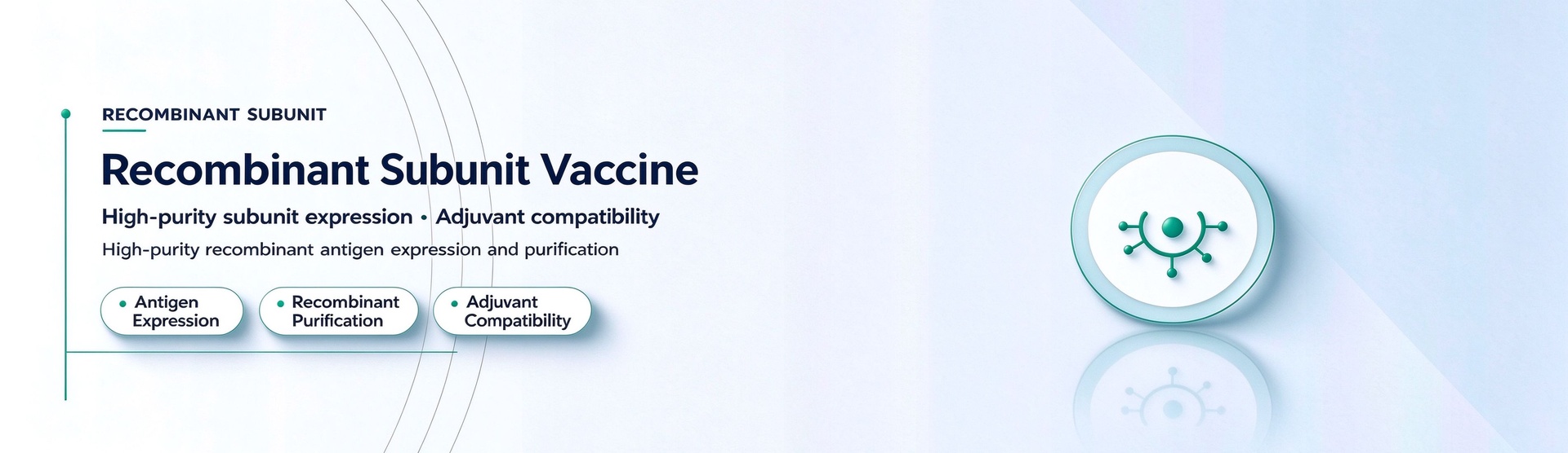Recombinant Subunit Vaccines